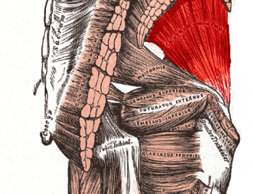 Your Sciatica May be “Side-atica”